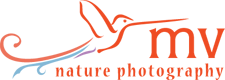 MV Nature Photography